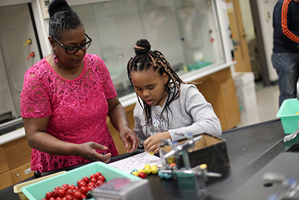 The number of young children and families attending the bi-annual Free College Day event at WCC has steadily grown since it started in 2014.