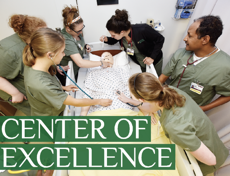 Nursing Center of Excellence